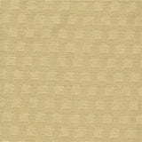Caraway